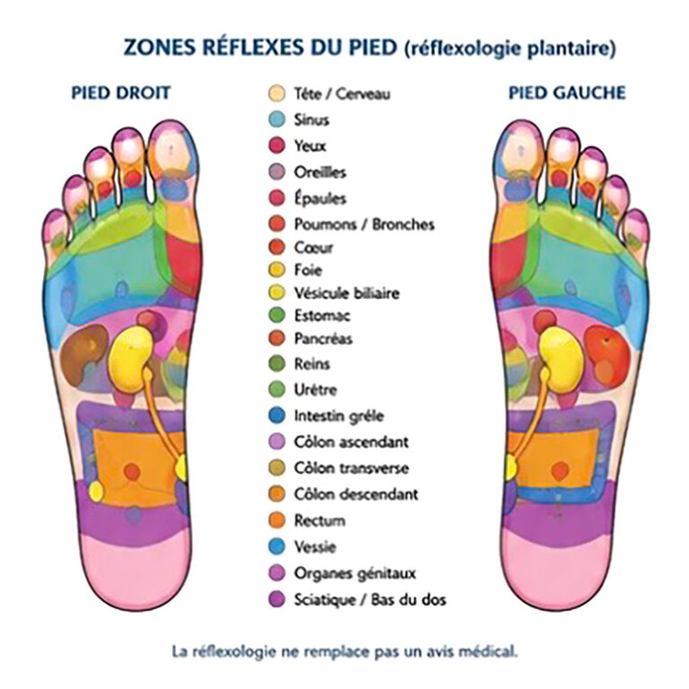 Schéma explicatif des zones réflexes plantaires du pied droit et du pied gauche en réflexologie.